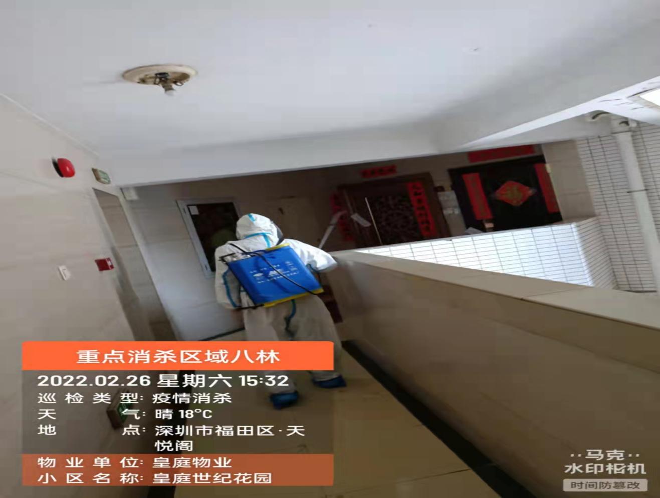 图片31.jpg